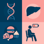 Illustration des causes du cholestérol élevé : ADN, foie, aliments gras et sédentarité